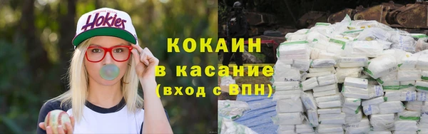 тгк Алексин