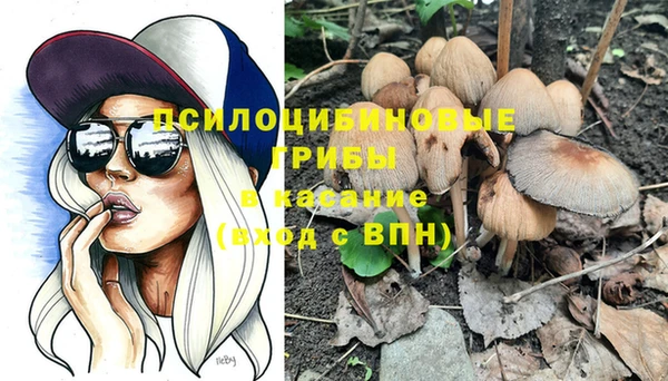 тгк Алексин