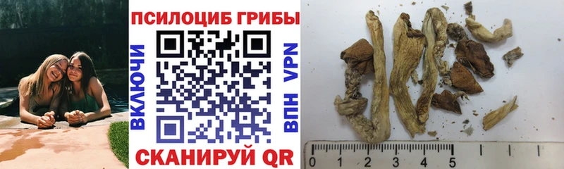 Галлюциногенные грибы ЛСД  купить наркоту  Ковылкино 